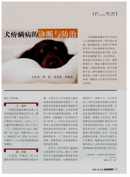 犬疥螨病的诊断与防治