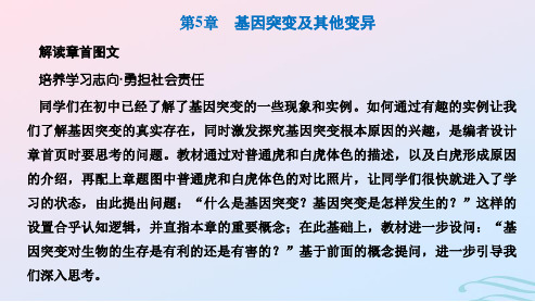 2024春新教材高中生物第5章基因突变及其他变异第1节基因突变和基因重组课件新人教版必修2