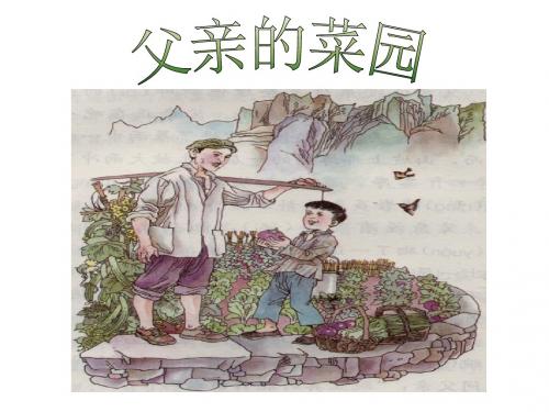 小学语文 《父亲的菜园》