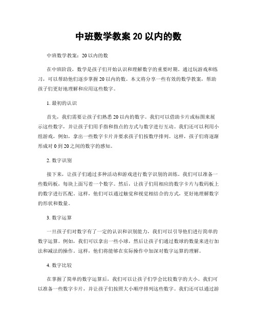 中班数学教案20以内的数