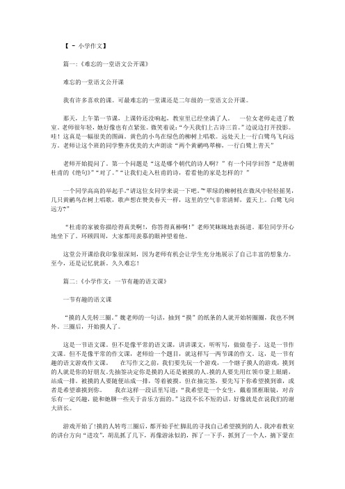 一堂语文公开课作文