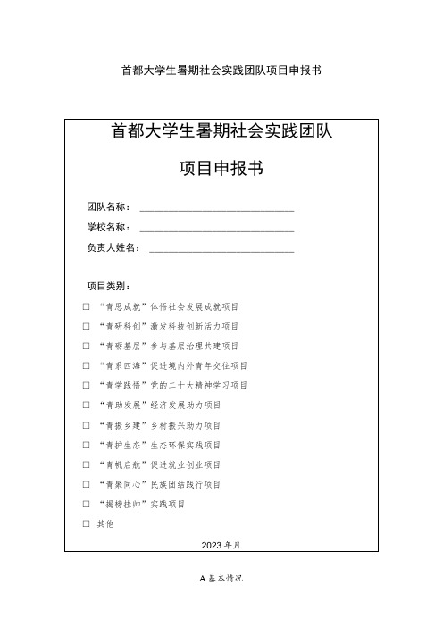 首都大学生暑期社会实践团队项目申报书