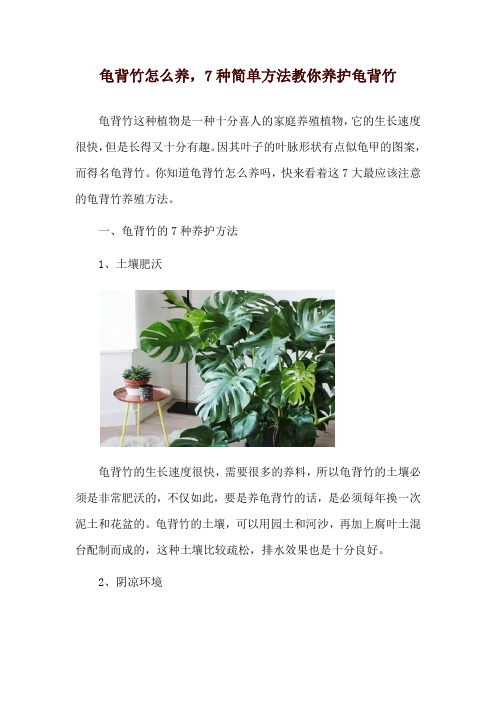 龟背竹怎么养,7种简单方法教你养护龟背竹