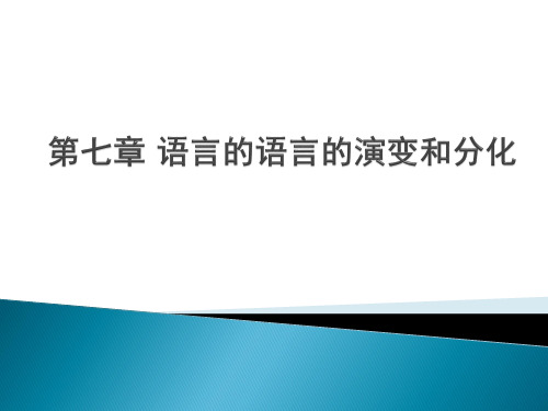 语言的语言的演变