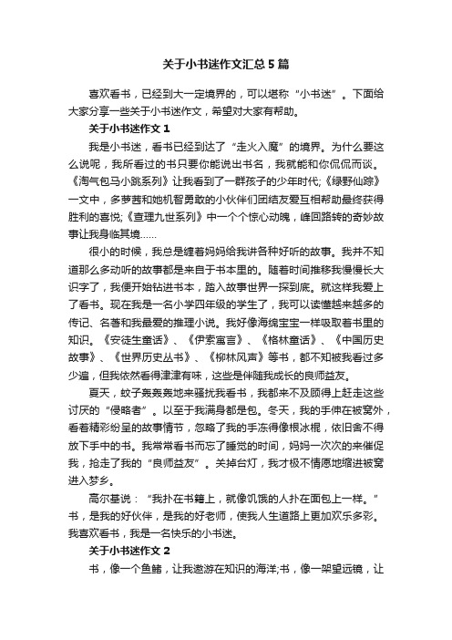 关于小书迷作文汇总5篇