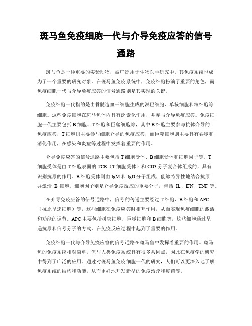 斑马鱼免疫细胞一代与介导免疫应答的信号通路