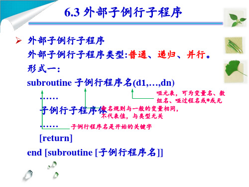 Fortran PPT课件1 (17)外部子例行子程序