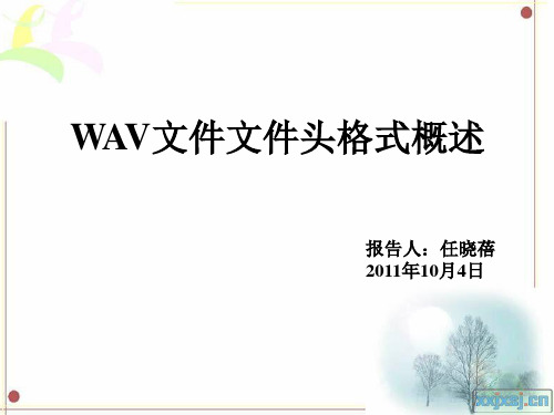 WAV文件文件头格式概述