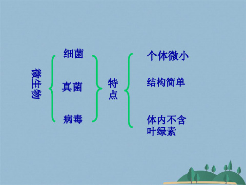 初二生物课件神奇的微生物(共67张PPT)