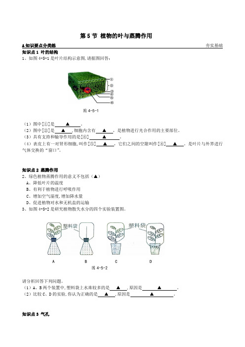 8-4-5植物的叶与蒸腾作用(原卷版)