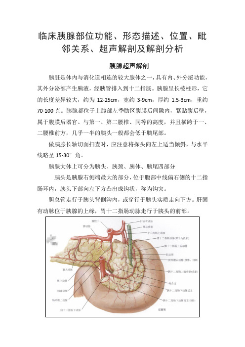 临床胰腺部位功能、形态描述、位置、毗邻关系、超声解剖及解剖分析