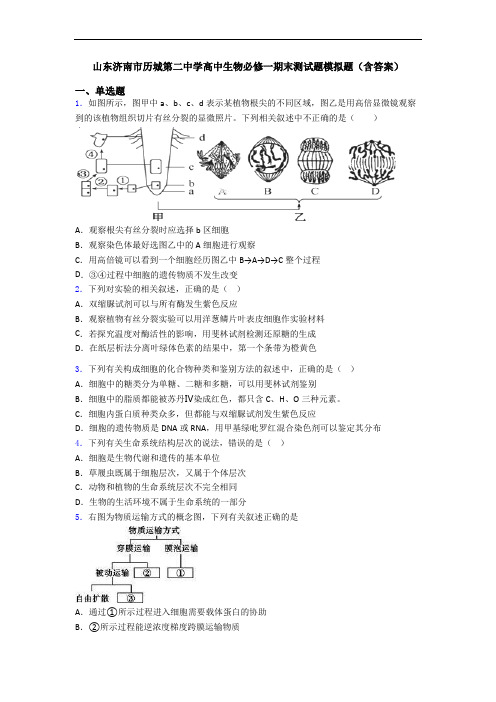 山东济南市历城第二中学高中生物必修一期末测试题模拟题(含答案)