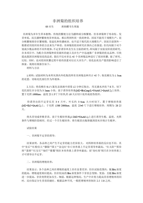 非洲菊的组织培养
