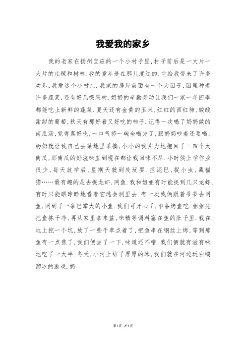 我爱我的家乡_小考作文