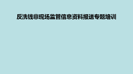 反洗钱非现场监管信息资料报送专题培训