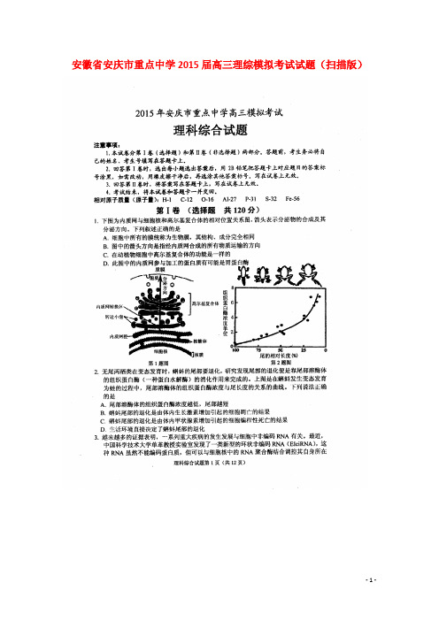 安徽省安庆市重点中学高三理综模拟考试试题(扫描版)