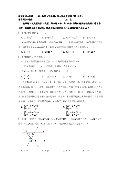 初一数学(下学期)周末辅导训练题(第15周)