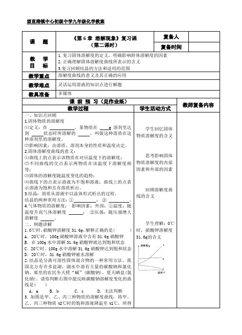 《第6章 溶解现象》复习课(第2课时)-教案-沪教版化学九年级下册