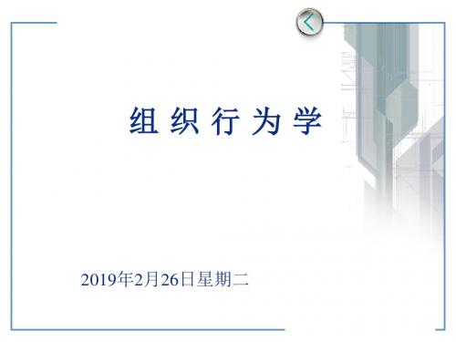 什么是组织行为学(PPT 45张)