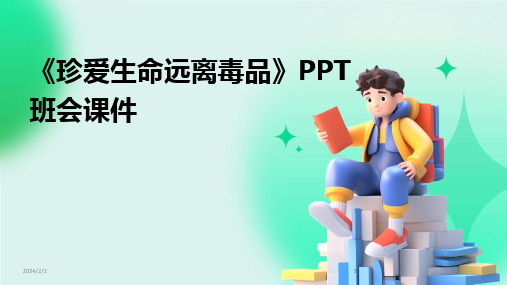 2024版年度《珍爱生命远离毒品》PPT班会课件