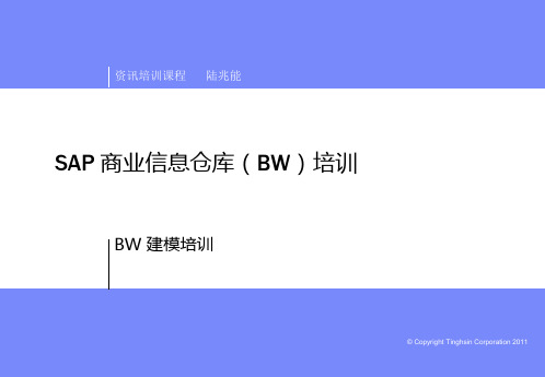 BW建模培训