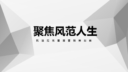 凯迪拉克圈层营销框架案-湖南申湘