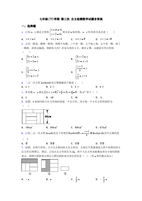 七年级(下)学期 第三次 自主检测数学试题含答案