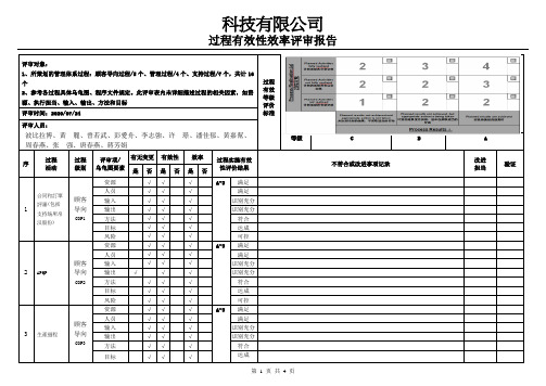 过程有效性效率评审记录 模板