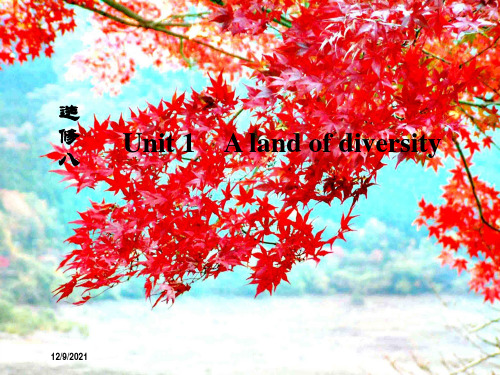 高考英语总复习 unit 1 a land of diversity课件