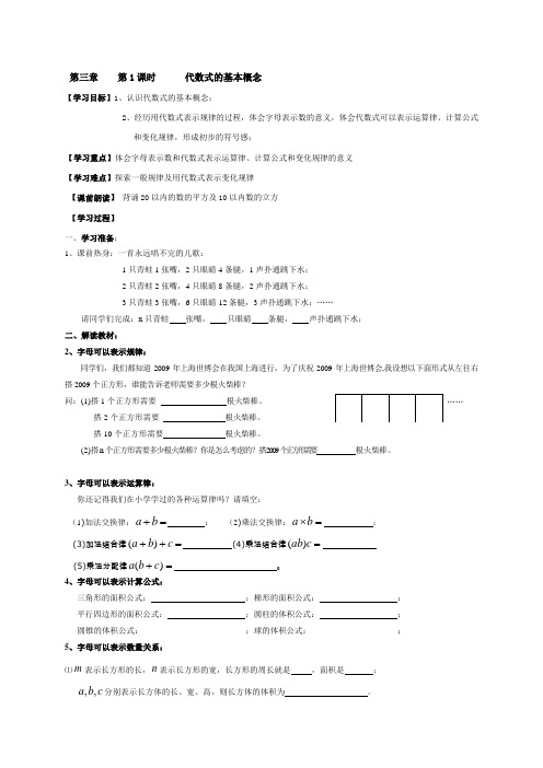 第1课时      代数式的基本概念