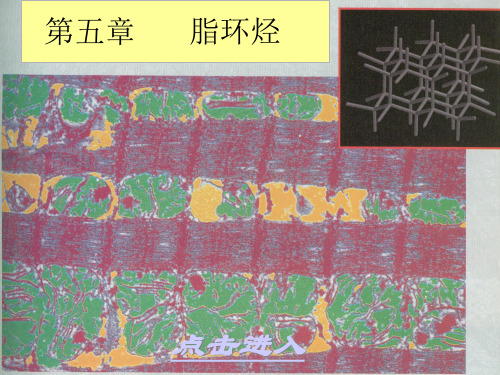 5第五章       脂环烃