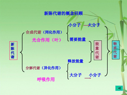 生物化学课件糖类代谢(共84张PPT)