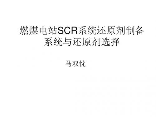 5燃煤电站SCR系统还原剂制备系统与还原剂选择