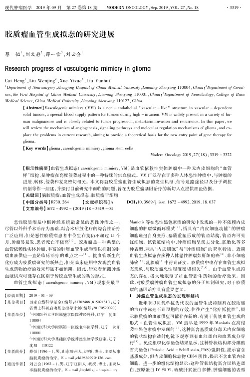 胶质瘤血管生成拟态的研究进展