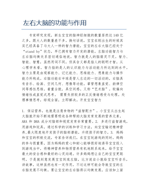 左右大脑的功能与作用