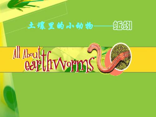 第12章 第1节 土壤中的小动物 第二课时