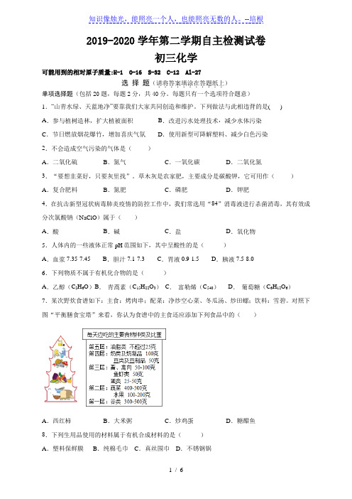 2020年江苏省苏州高新区第一初级中学初三化学自主检测卷(无答案)