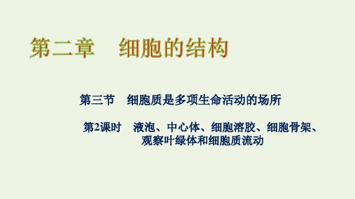 新教材高中生物第二章液泡中心体细胞溶胶细胞骨架观察叶绿体和细胞质流动课件浙科版必修第一册ppt