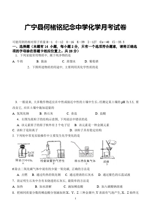 初三化学下学期第一次月考