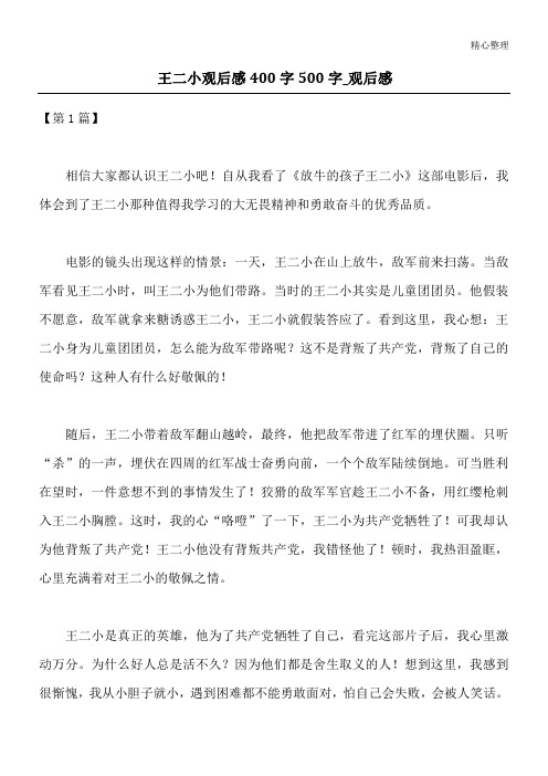 王二小观后感400字500字_观后感