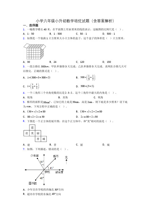 小学六年级小升初数学培优试题(含答案解析)