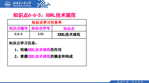 (133)6.6.3：XBRL技术规范