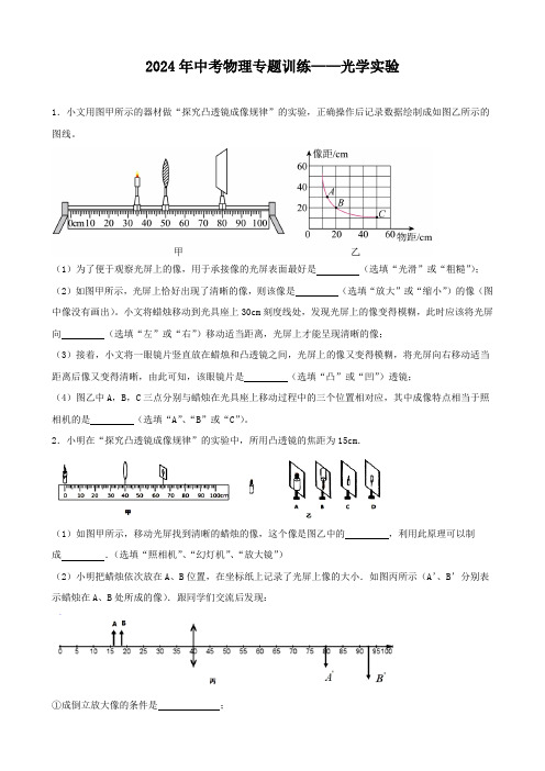 2024年中考物理专题训练——光学实验(含答案) (2)