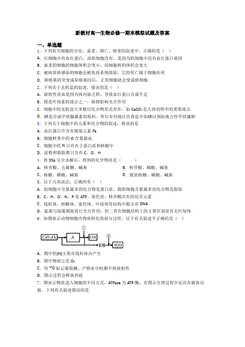 新教材高一生物必修一期末模拟试题及答案