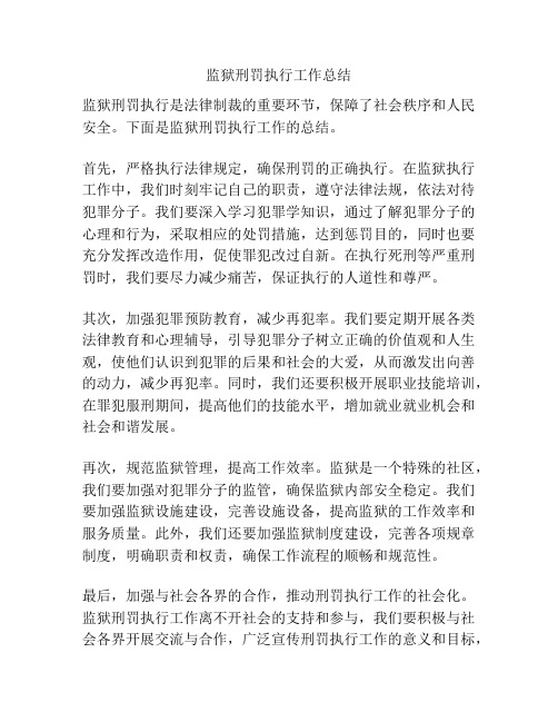 监狱刑罚执行工作总结