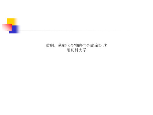 黄酮、萜醌化合物的生合成途经 沈阳药科大学