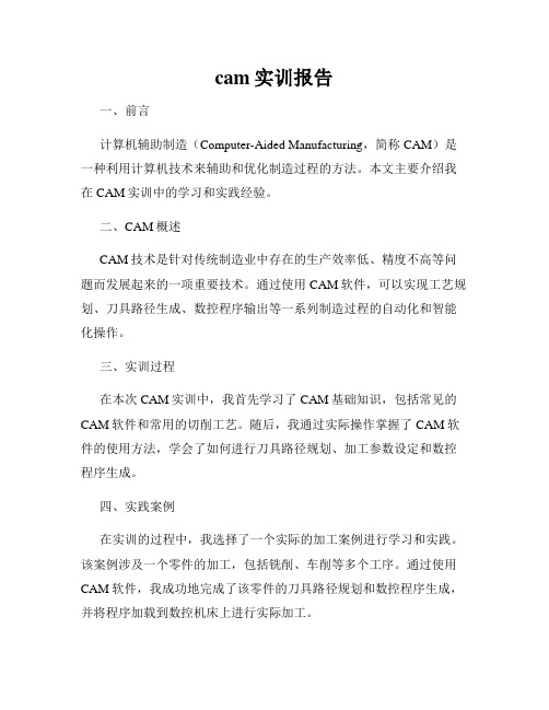 cam实训报告