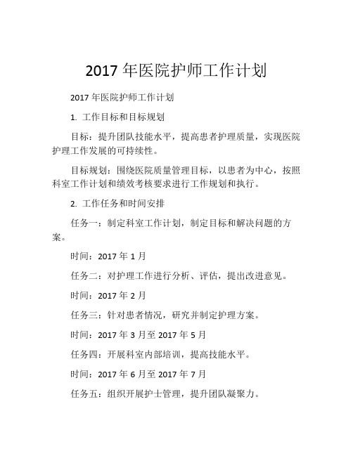 2017年医院护师工作计划