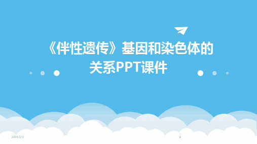 2024版年度《伴性遗传》基因和染色体的关系PPT课件