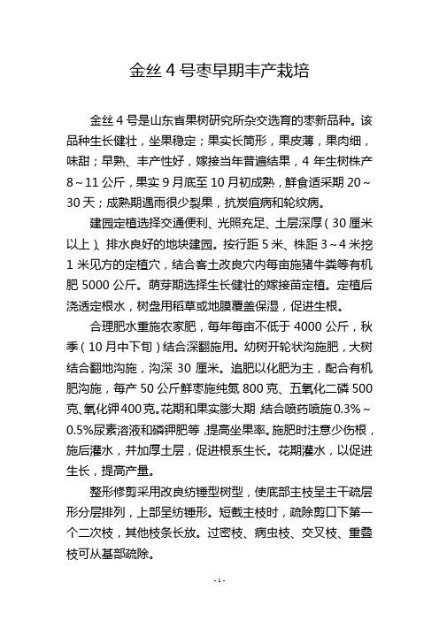 金丝4号枣早期丰产栽培